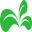 favicon-32x32